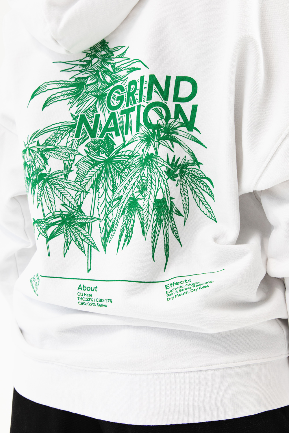 Sativa Plant - Hoodie