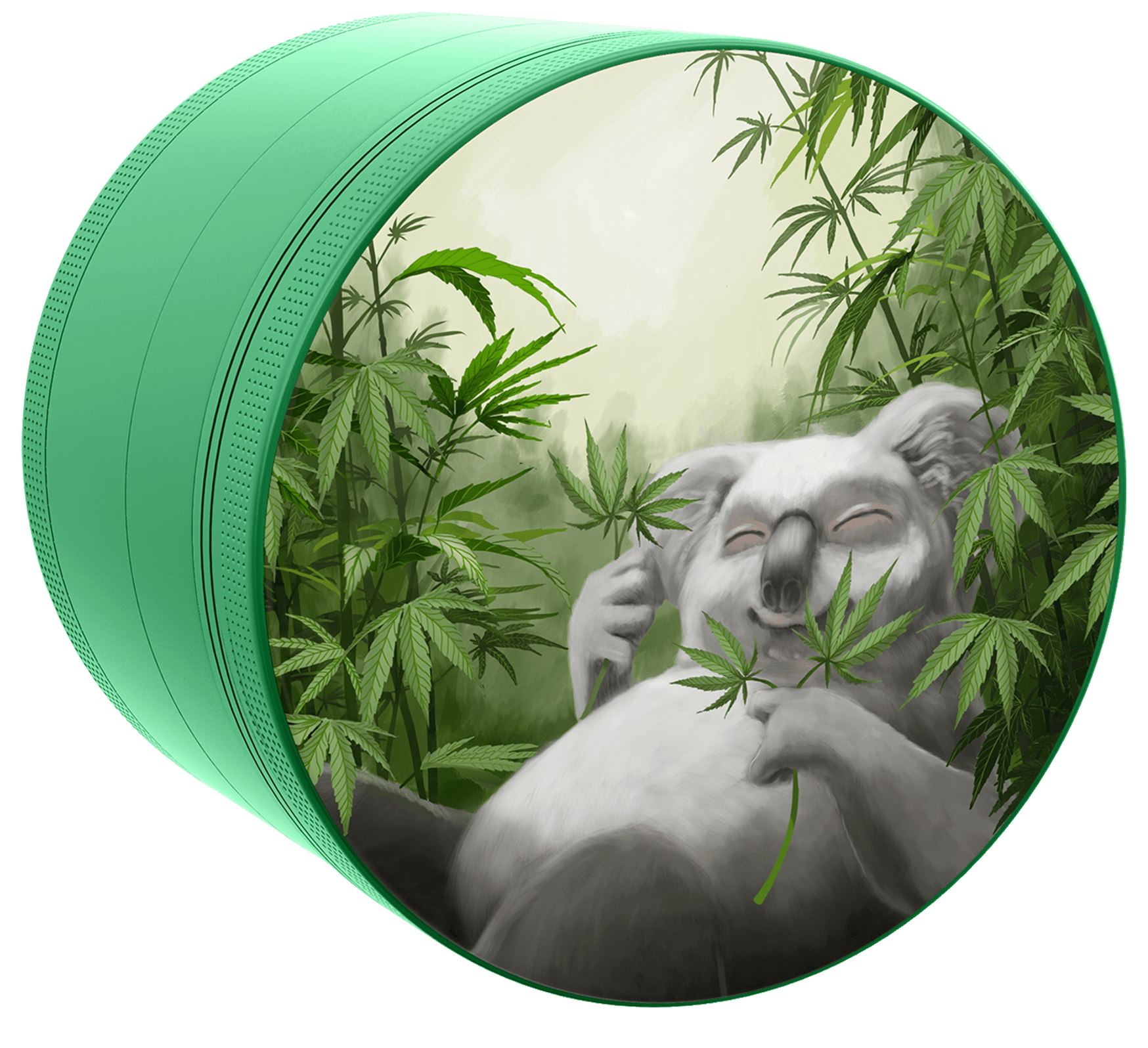 'Koala' 'Koala'